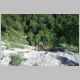 008 Peter 4 SL Juniperus.JPG